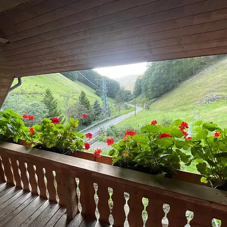 Im Сasa de vacaciones *