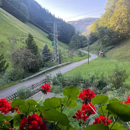 Im Münstertal