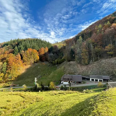 Im Ferienhaus *