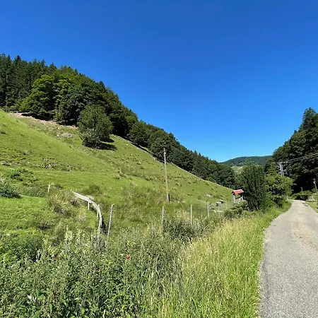 Im Ferienhaus Münstertal