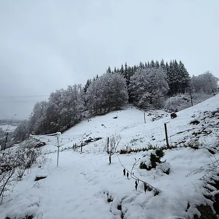 Сasa de vacaciones Im